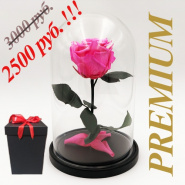 Роза в колбе «Премиум» за 2500 руб. на подарок к 8 марта!